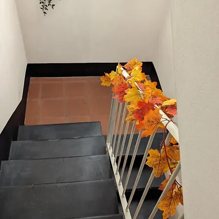 Appartamento Frida *